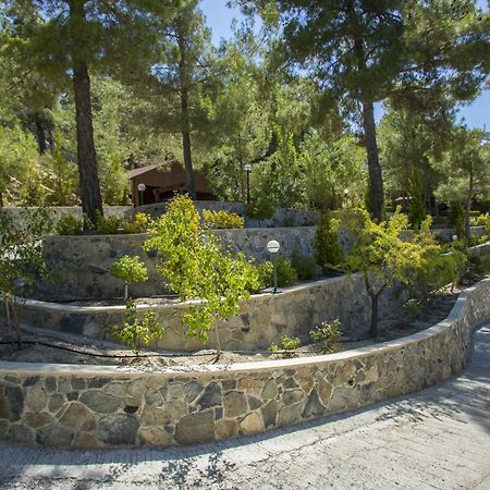 Ricky Chalet Near Troodos Spilia Exterior foto