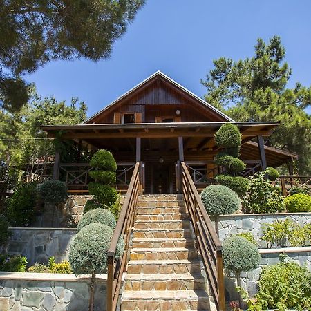 Ricky Chalet Near Troodos Spilia Exterior foto