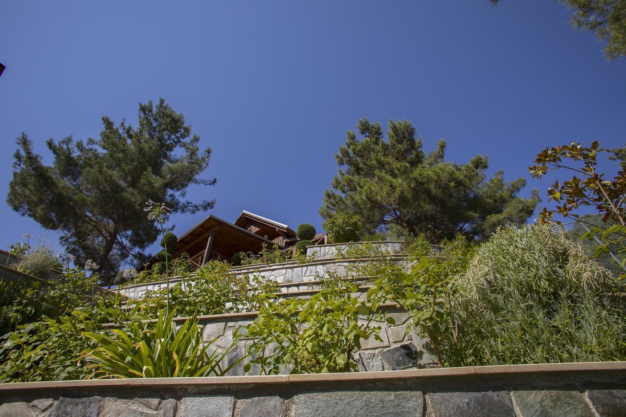 Ricky Chalet Near Troodos Spilia Exterior foto