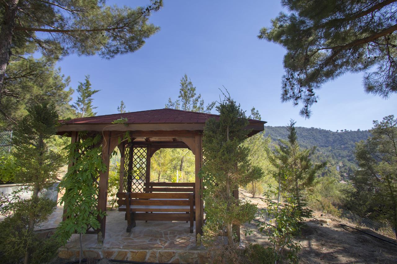 Ricky Chalet Near Troodos Spilia Exterior foto