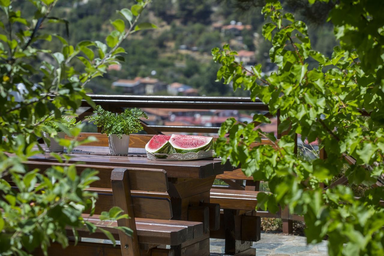 Ricky Chalet Near Troodos Spilia Exterior foto