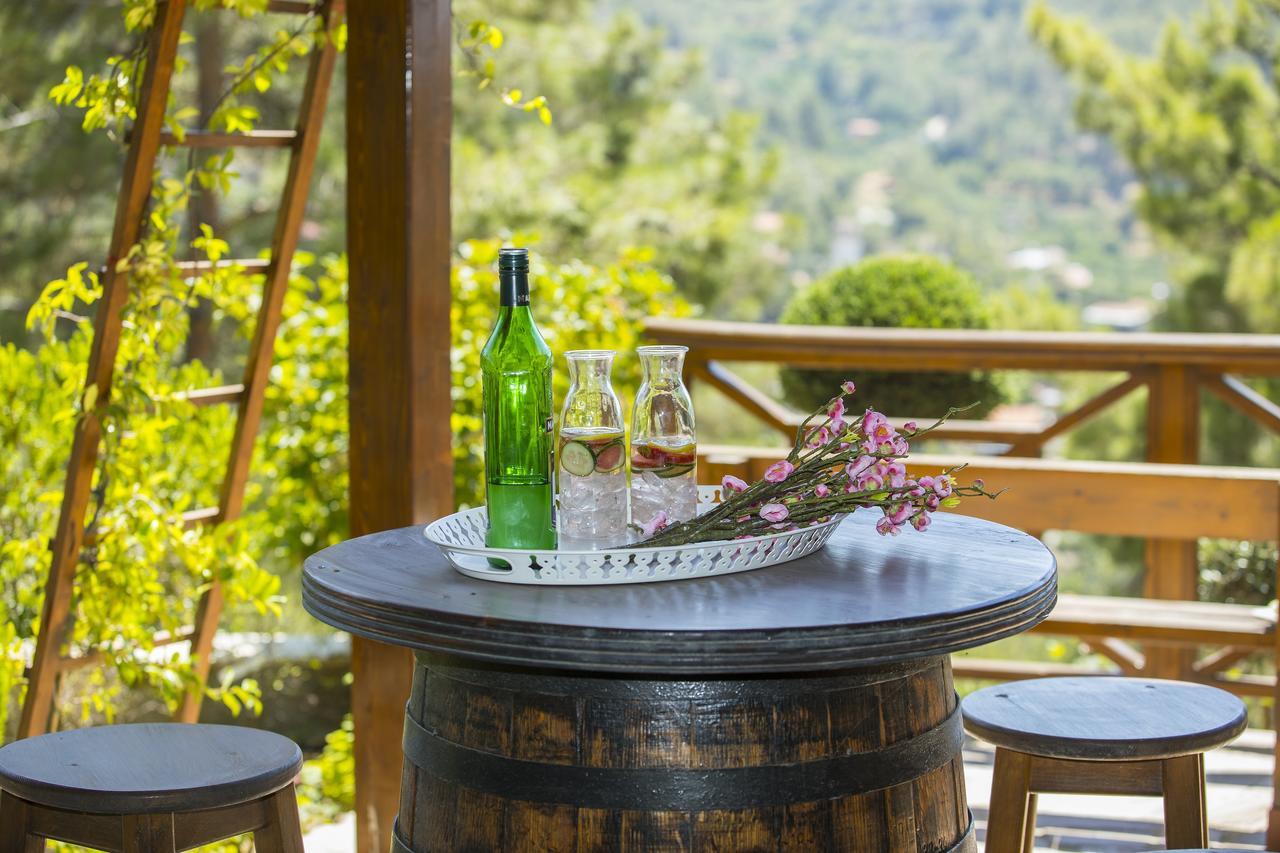 Ricky Chalet Near Troodos Spilia Exterior foto