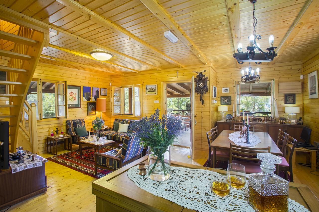 Ricky Chalet Near Troodos Spilia Exterior foto