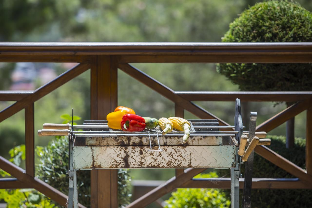 Ricky Chalet Near Troodos Spilia Exterior foto
