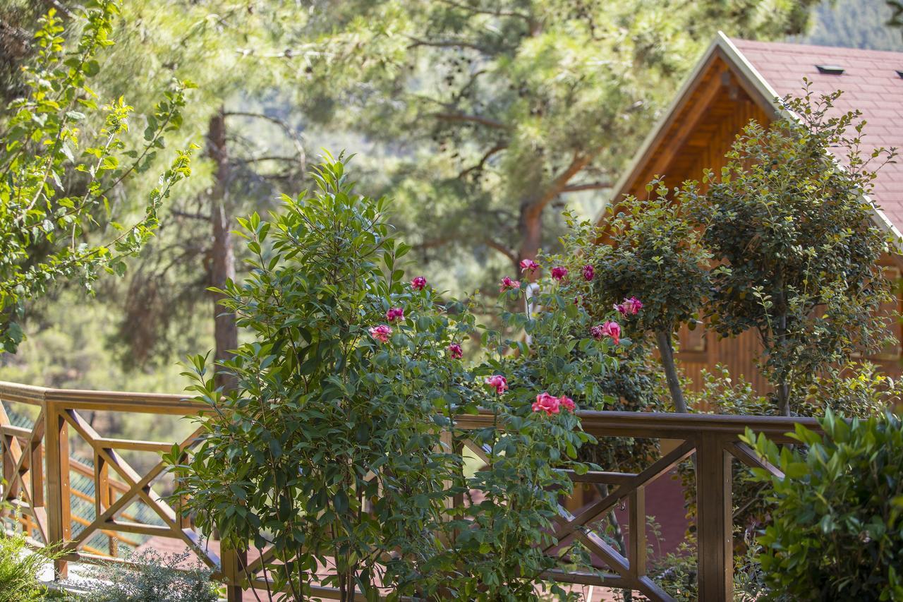 Ricky Chalet Near Troodos Spilia Exterior foto