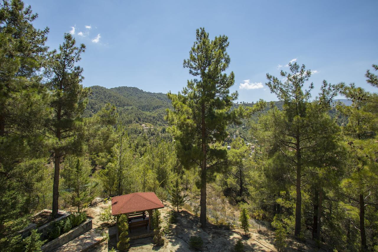 Ricky Chalet Near Troodos Spilia Exterior foto